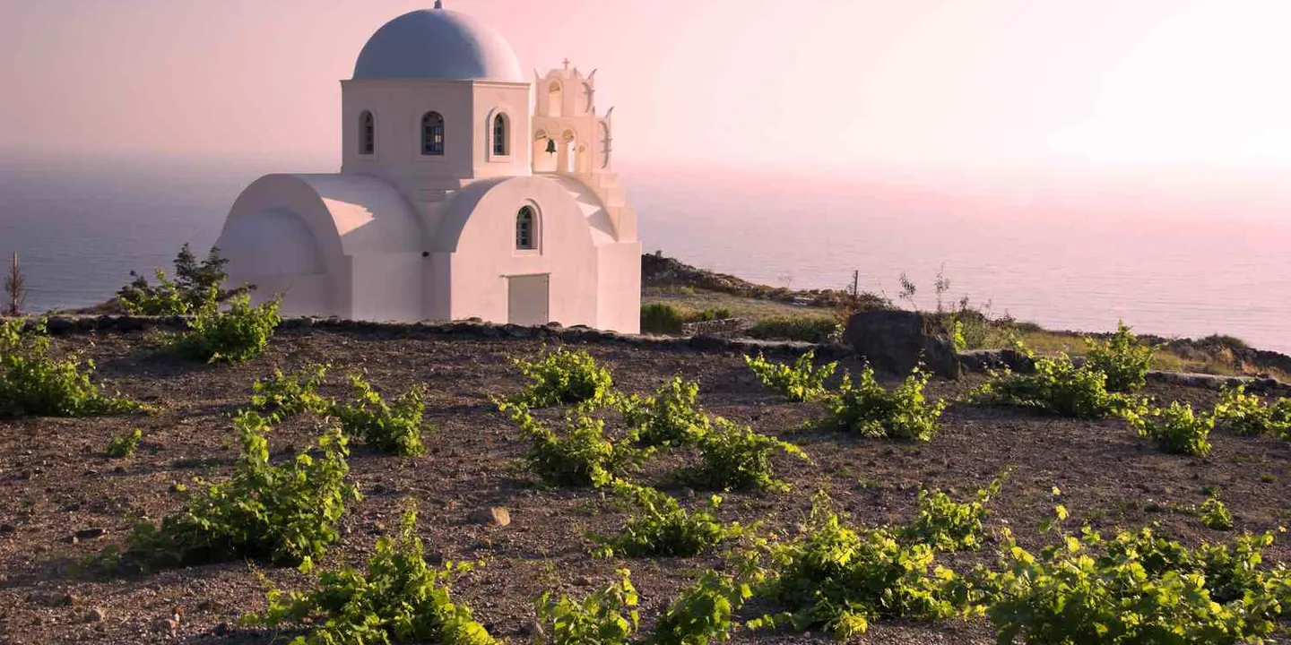 Greek Wine - a modern Odyssey