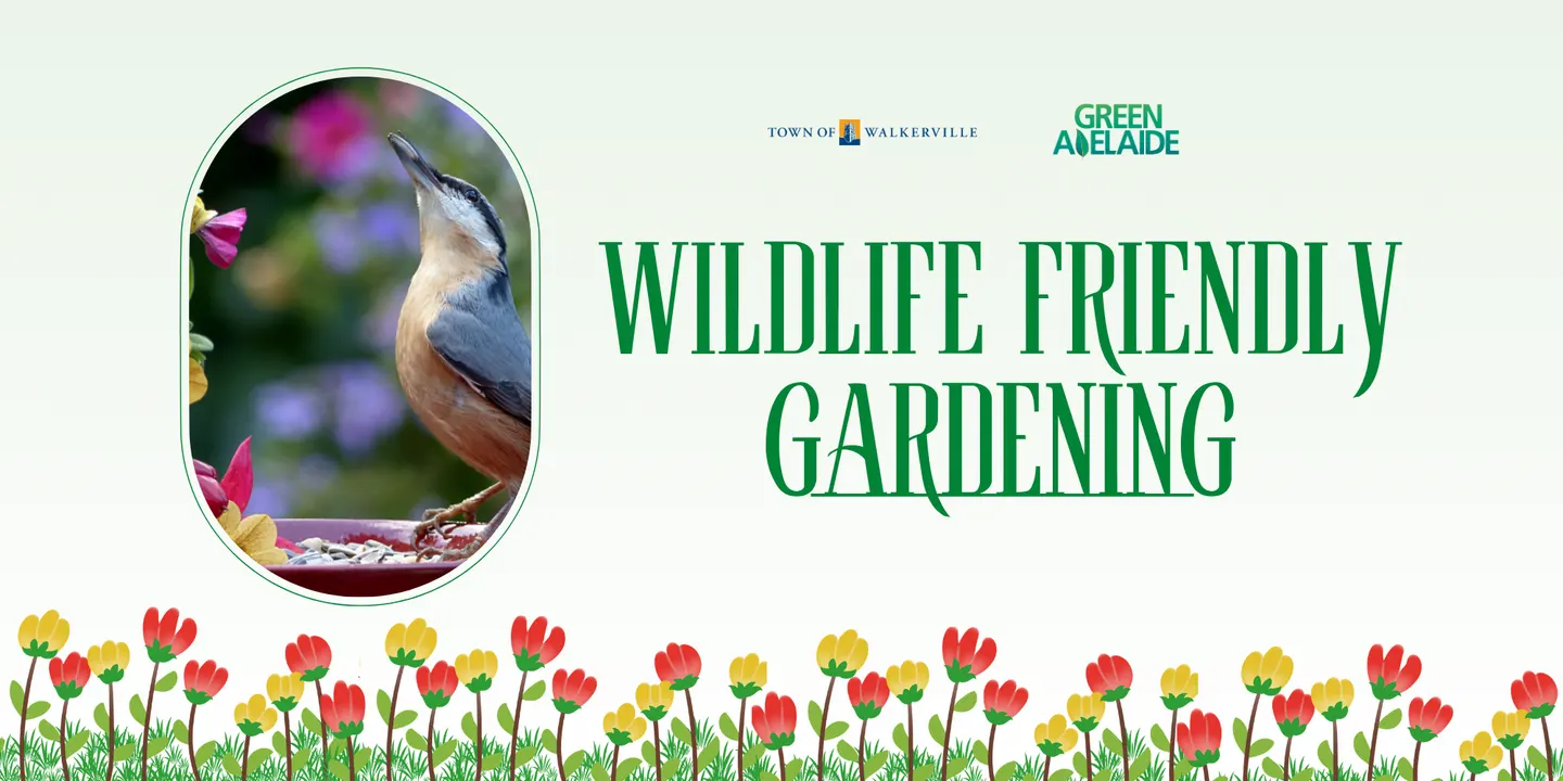 Wildlife friendly gardening