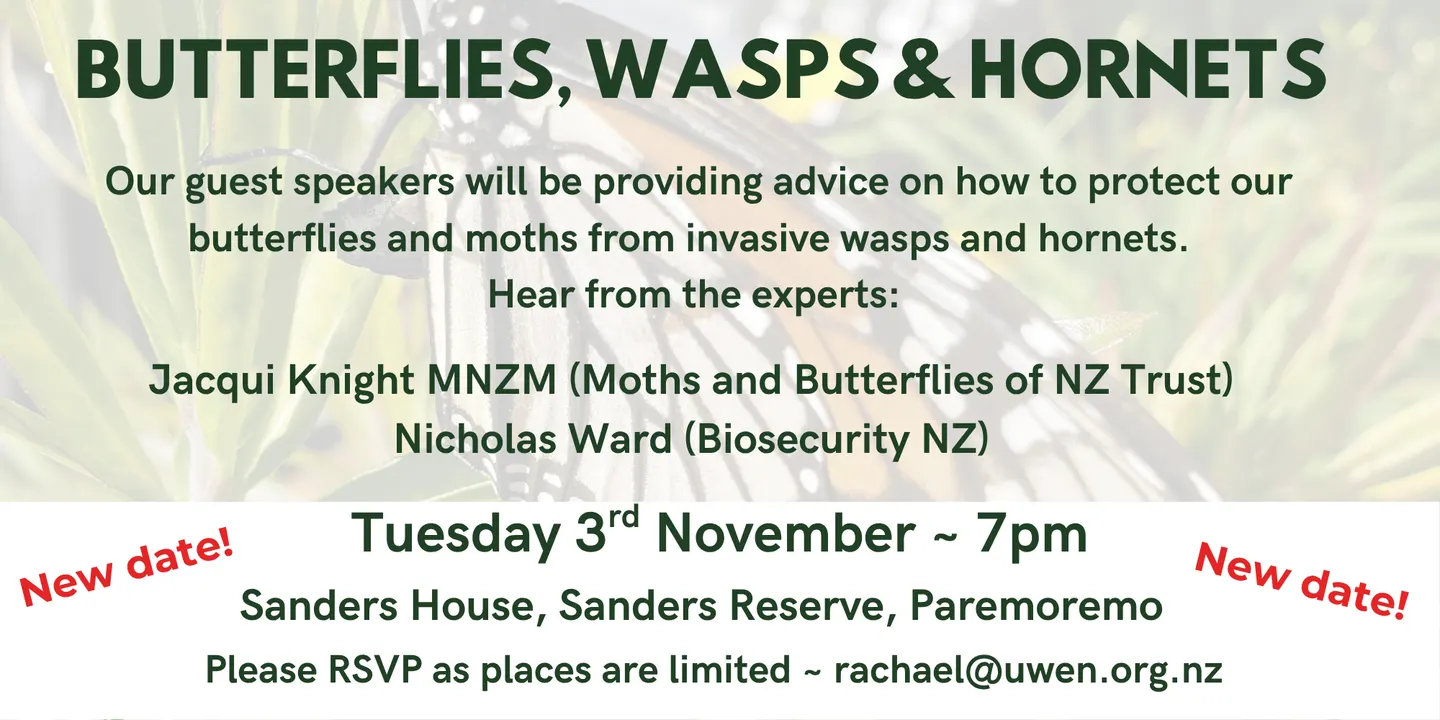 Butterflies, wasps and hornets