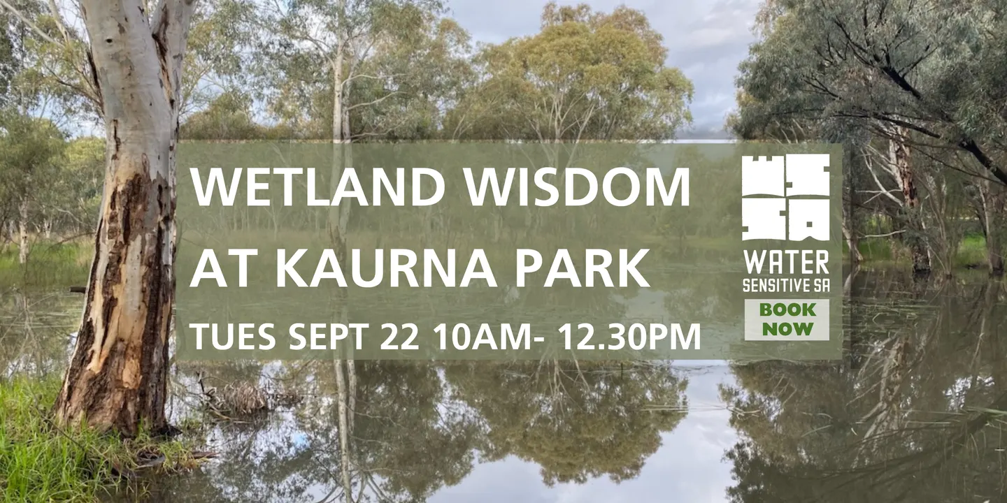 Wetland Wisdom at Kaurna Park