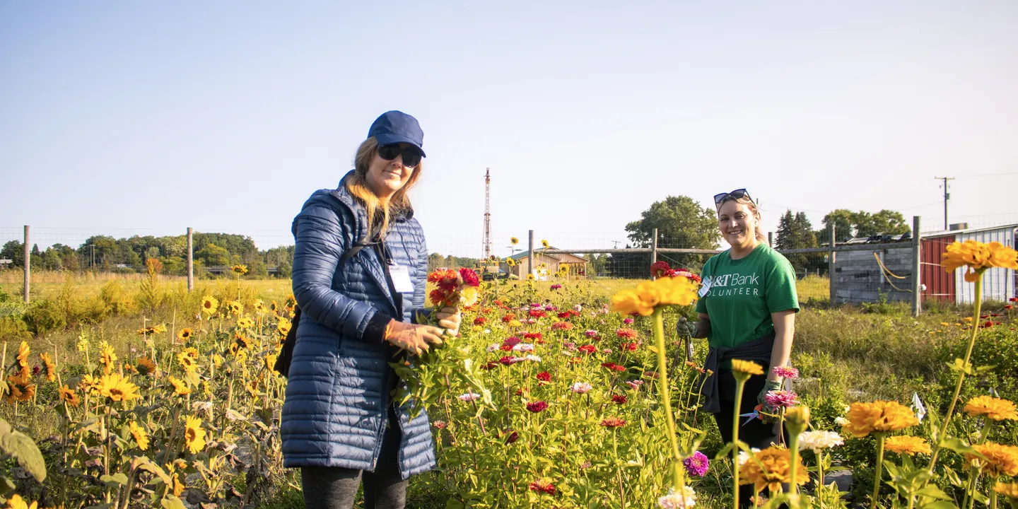 Flower Harvesting in the Giving Garden