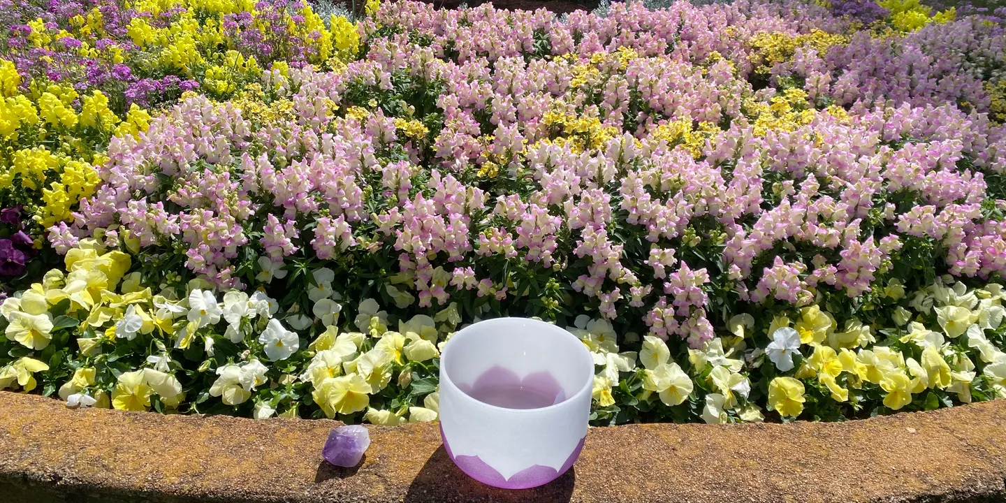 Sound, Stillness and Surrender A time to BLOOM