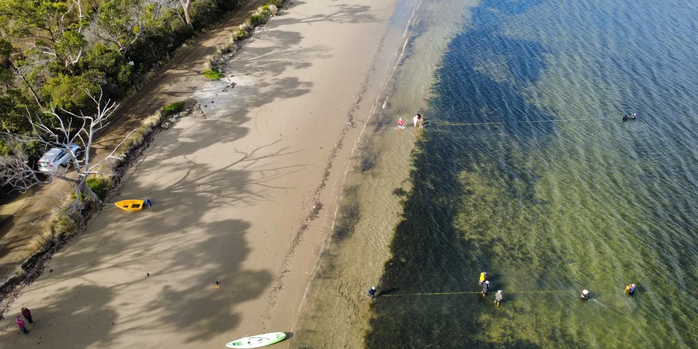 Seagrass Discovery Day