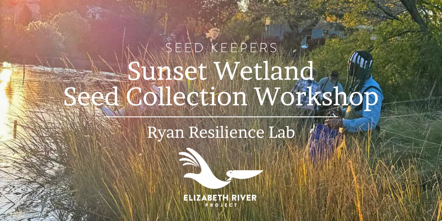 Seed Keepers: Sunset Wetland Seed Collection Workshop