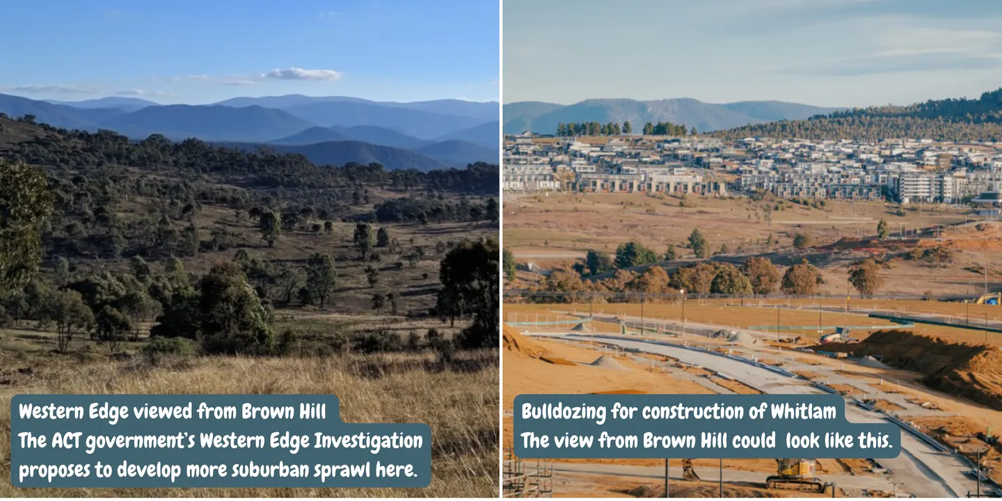 Canberra's Western Edge walks - Brown Hill, Stromlo Forest Park