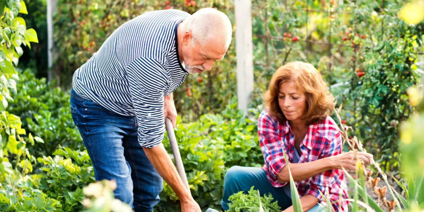 October Gardeners' Hour