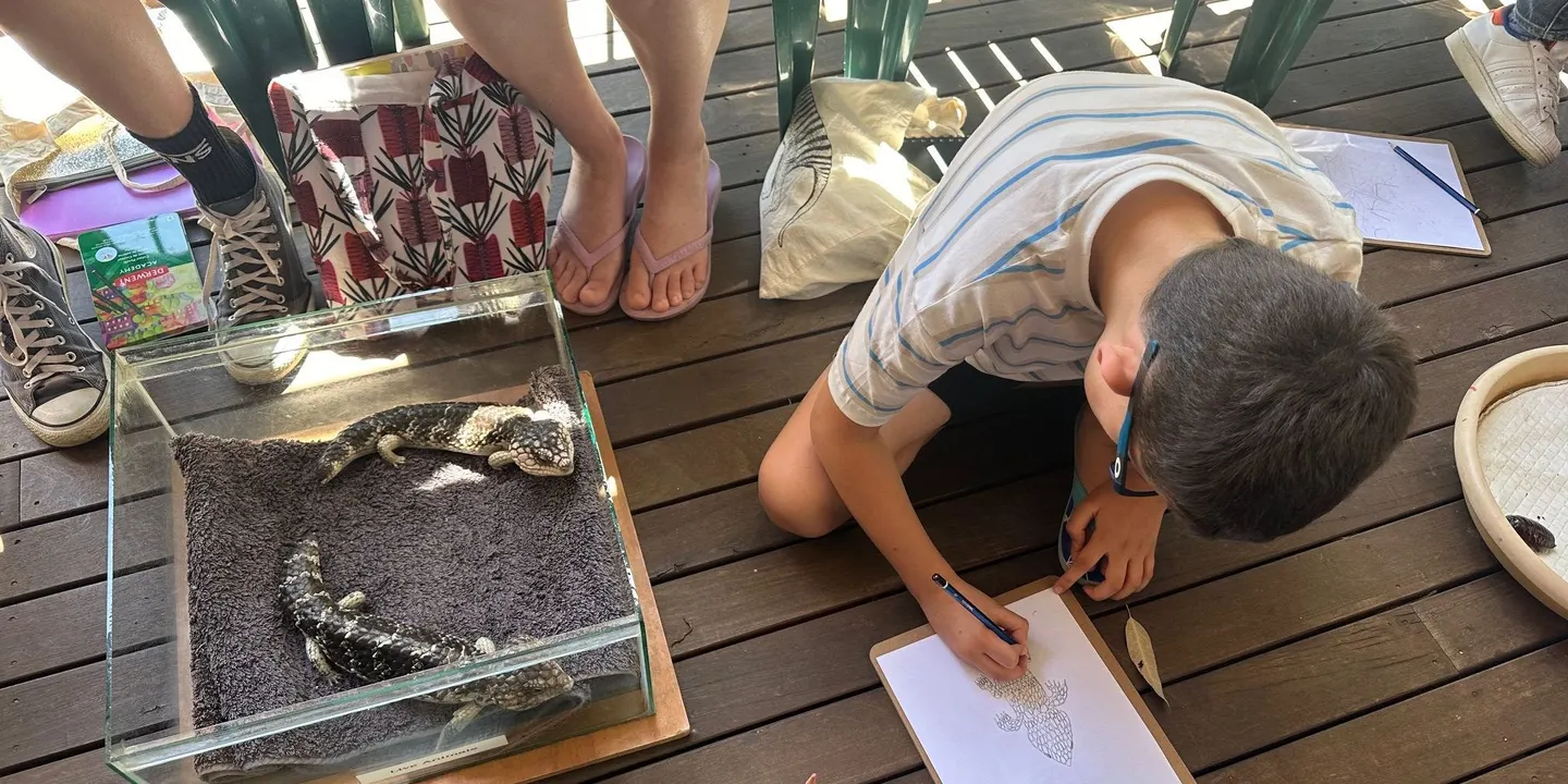 Nature Life Drawing (Ages 6 to 12)