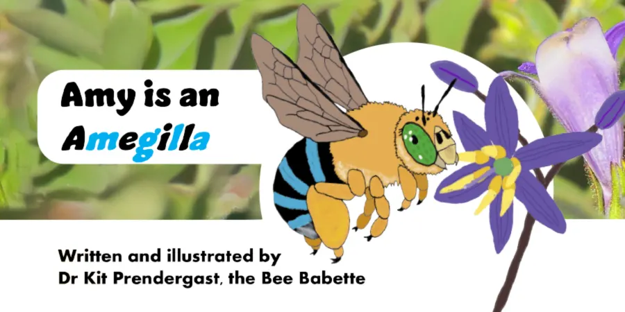 Native Bee Tales & Crafts