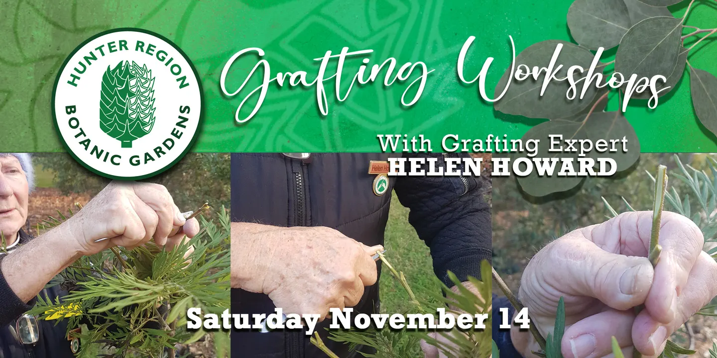 Grafting Workshop