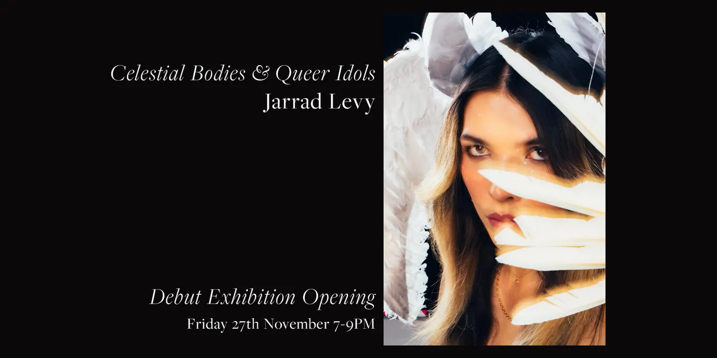 Celestial Bodies & Queer Idols - Jarrad Levy Debut Exhibition Opening Night