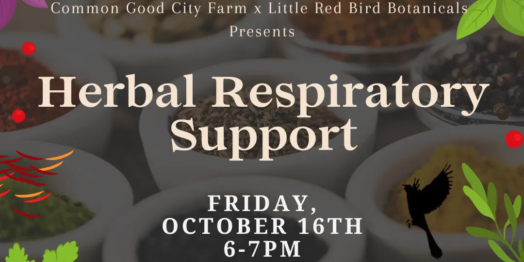 Herbal Respiratory Support