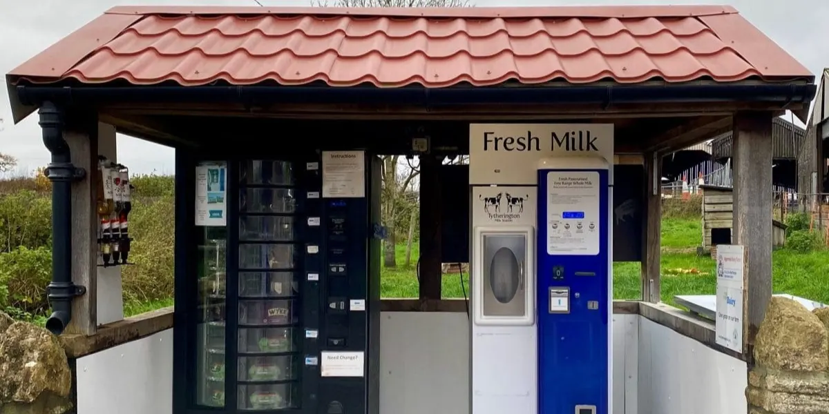Thriving Through Change: How do you decide what is worth doing - and what is not?
