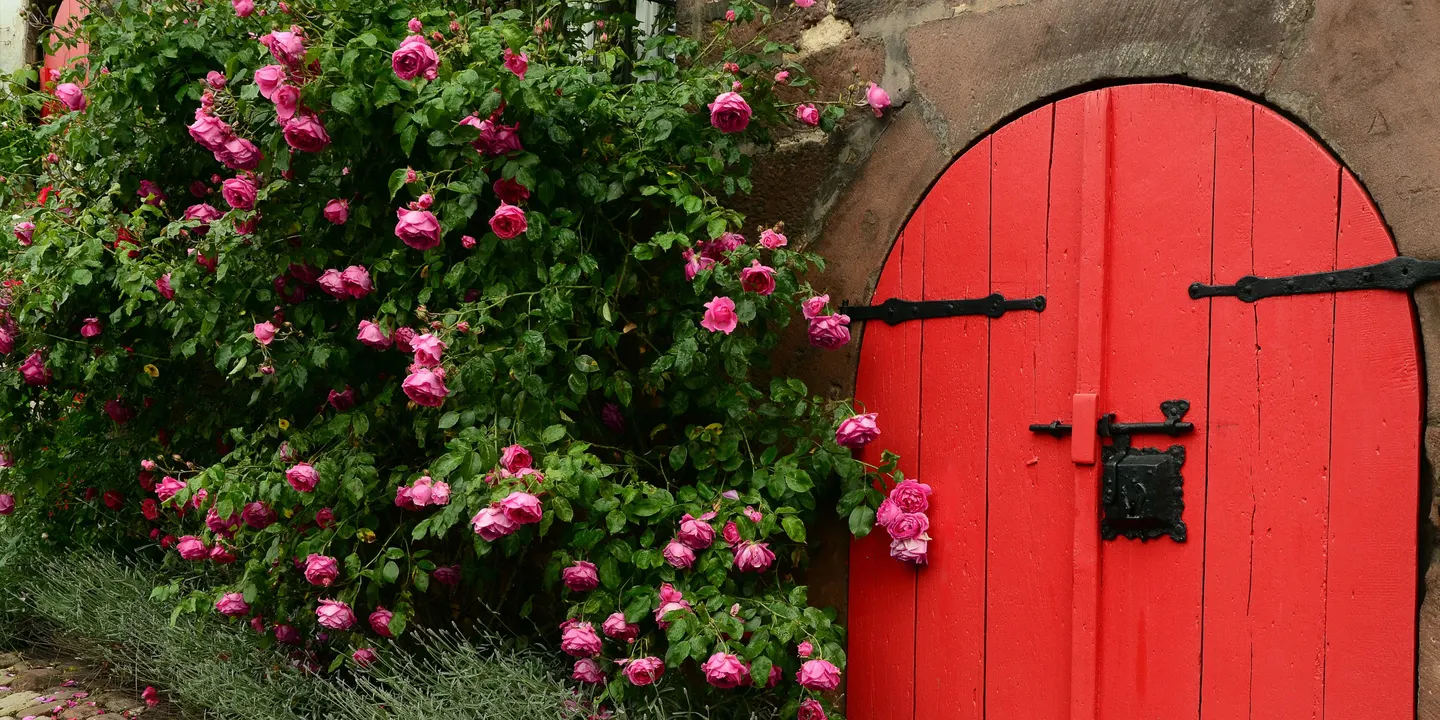 The Red Rose Women's Circle