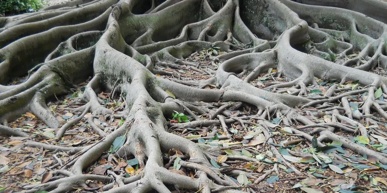 The Pool Of Life Presents A Family Constellations November 2 Day Workshop (Wirral)