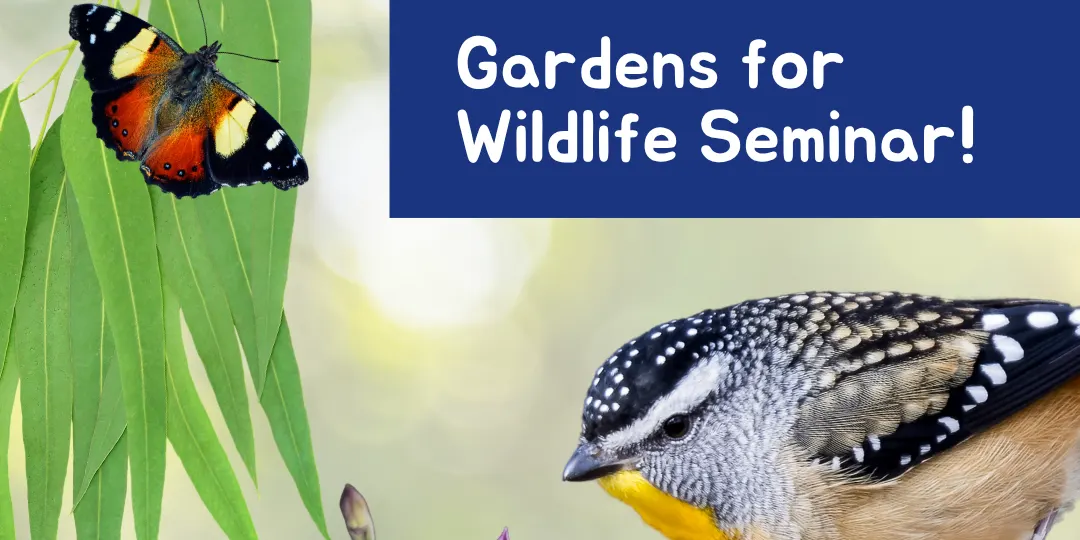 Gardens for Wildlife Seminar - Boronggook Drysdale Library