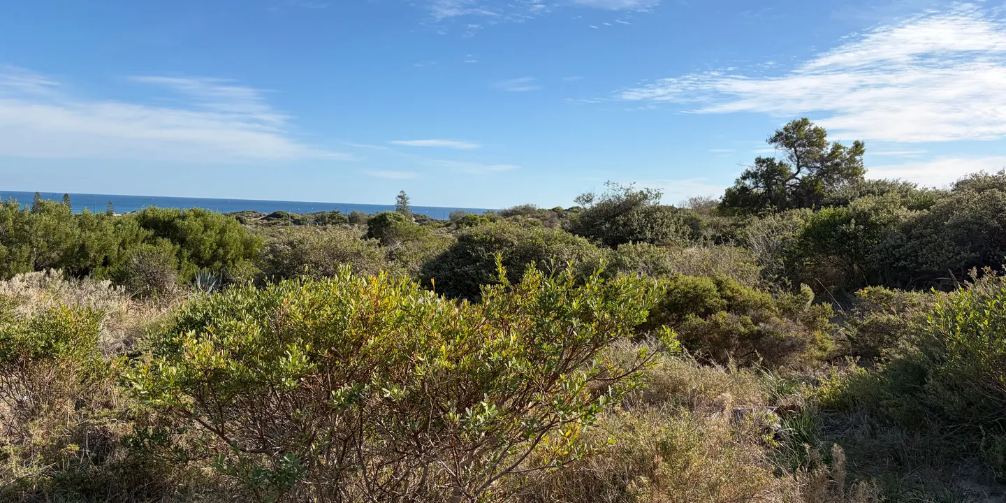 Appreciate your local Bush Patch in Spring