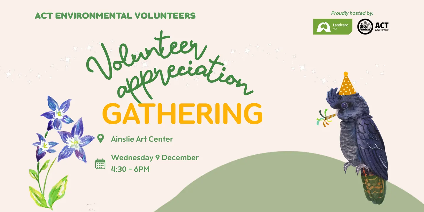 Volunteer Appreciation Gathering 2026