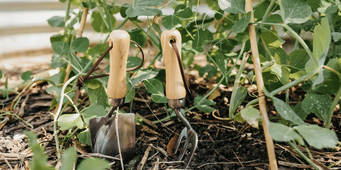 Food Forest Community Planting Day