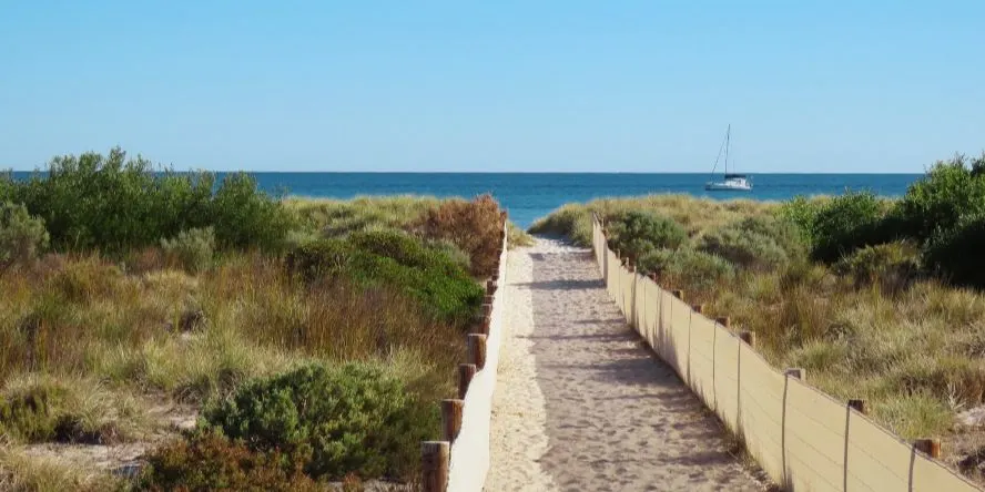 Coastal Dune Walk in Spring