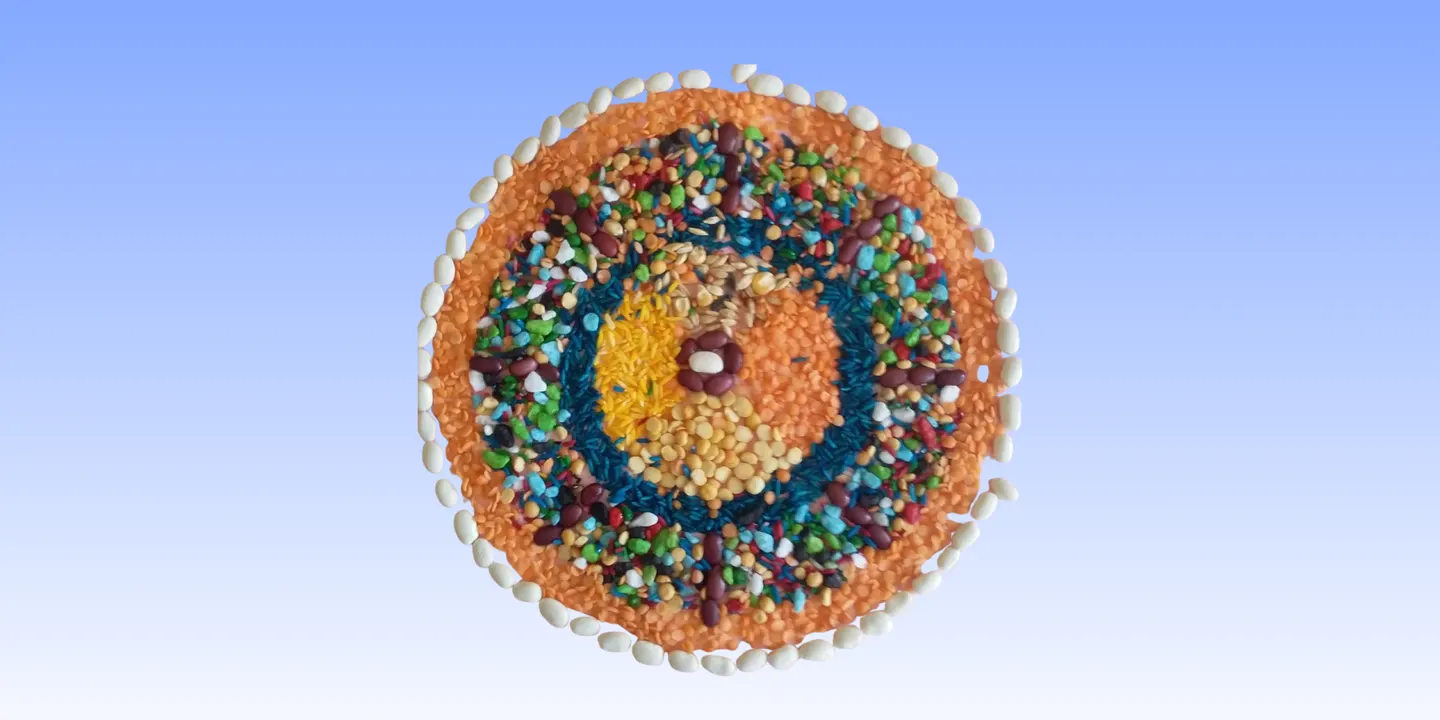 Create Your Own Seed Mandala