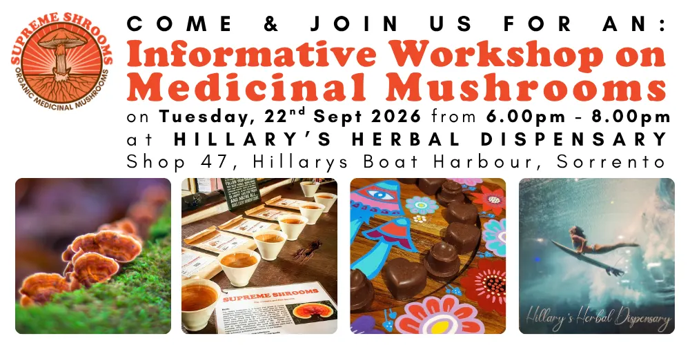 Medicinal Mushrooms Workshop Hillarys
