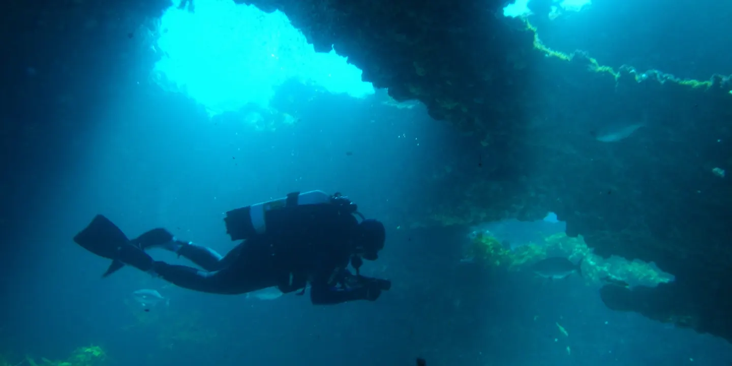 Dive Section Christmas Party