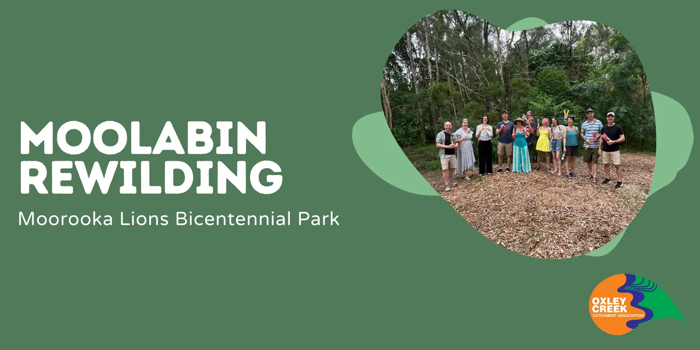 Moolabin Rewilding