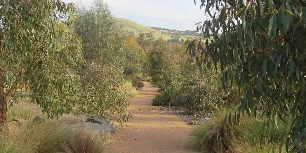 Relax in nature - a 2hr nature therapy experience
