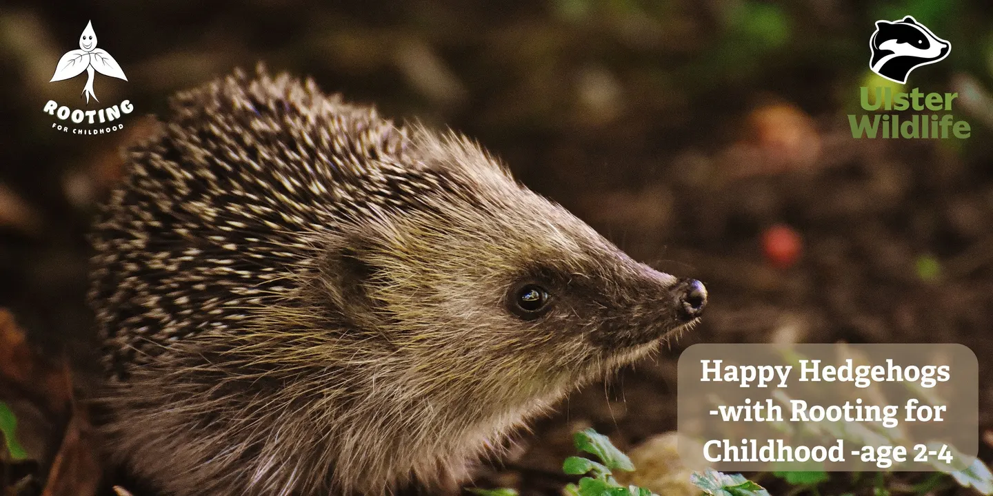 Happy Hedgehogs with Rooting for Childhood - age 2-4