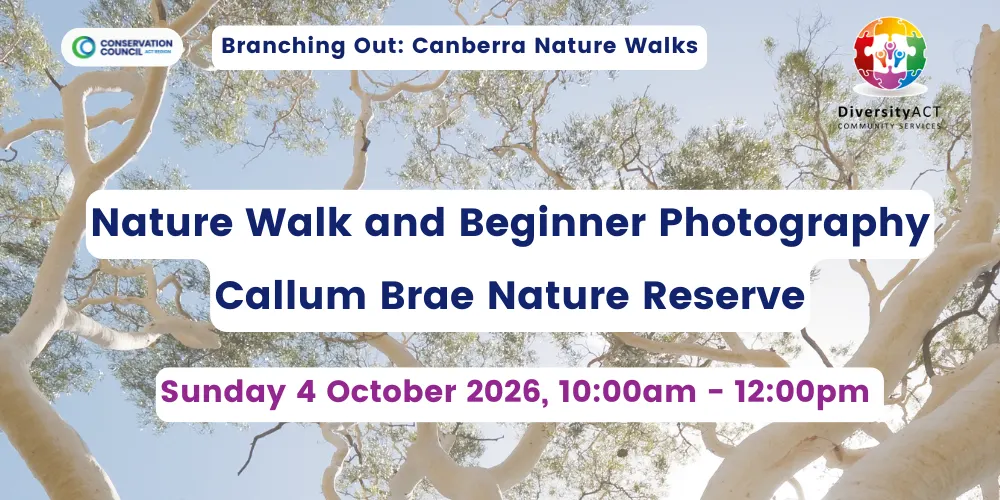 Branching Out: Nature Walk and Beginner Photography