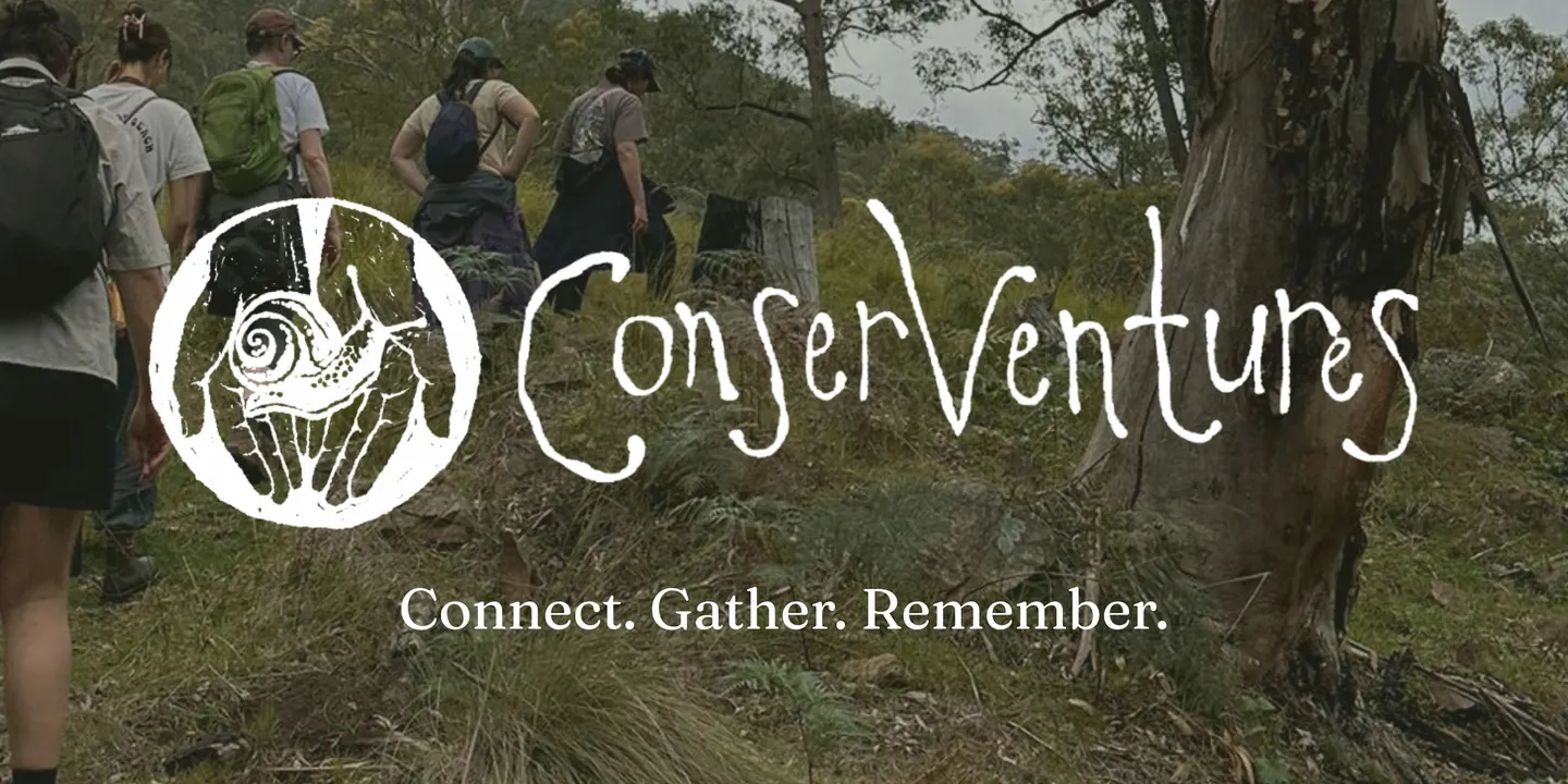 Guided Twilight Walk: Hear the Bush Come Alive at Dusk | Lane Cove