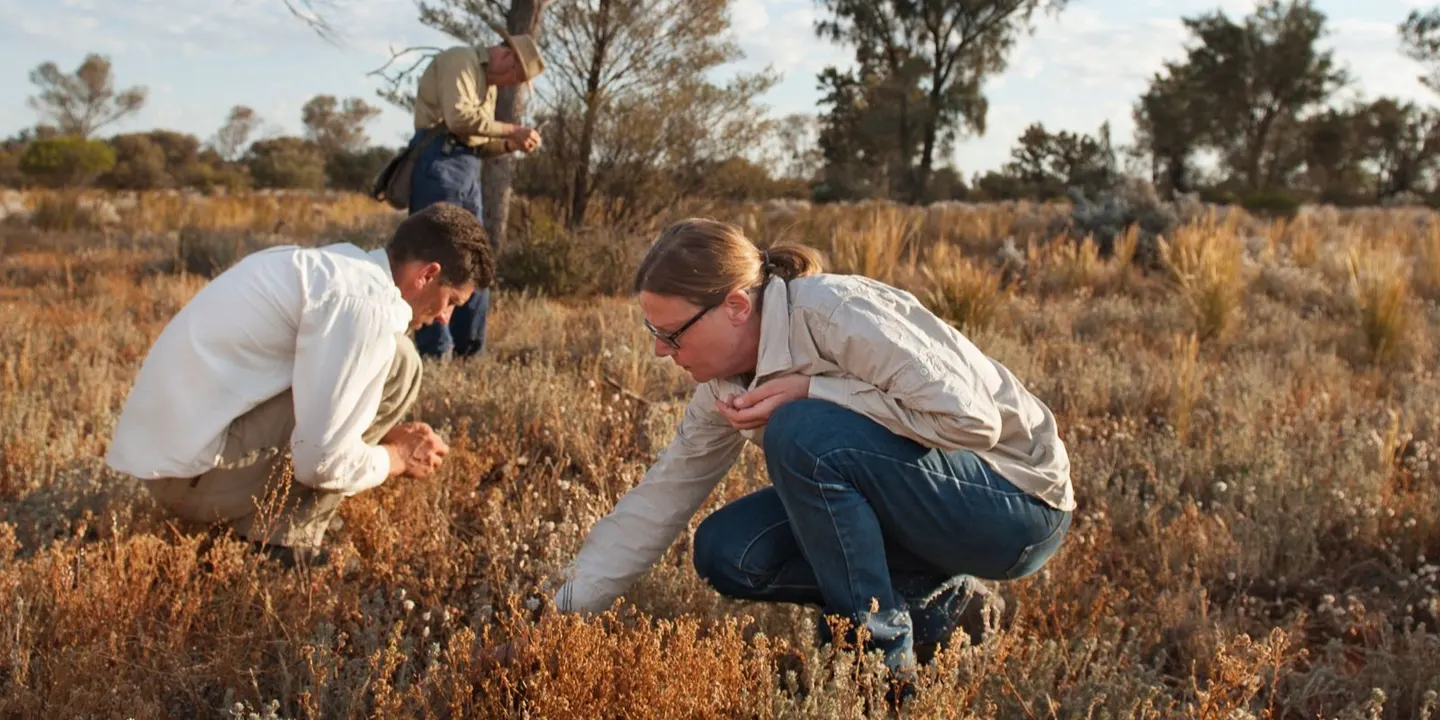 From Seed to Survival: Inside the Seed Conservation Centre