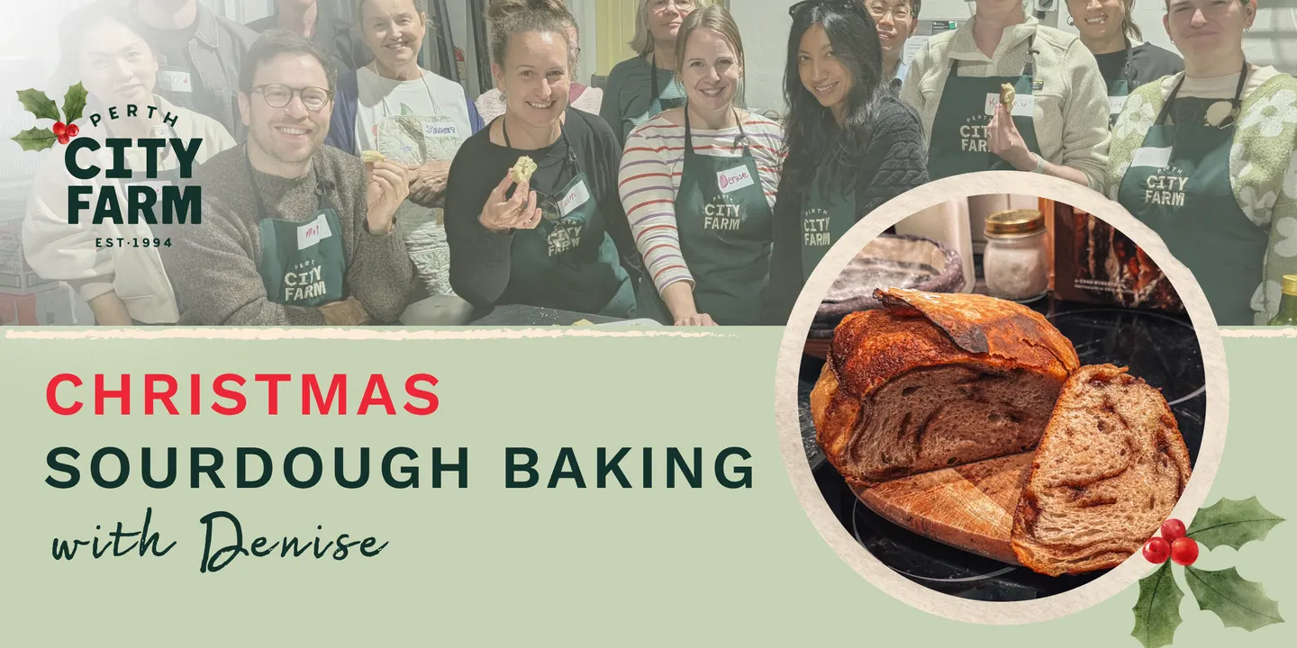 Christmas Sourdough Baking