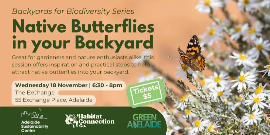 Native Butterflies in your Backyard