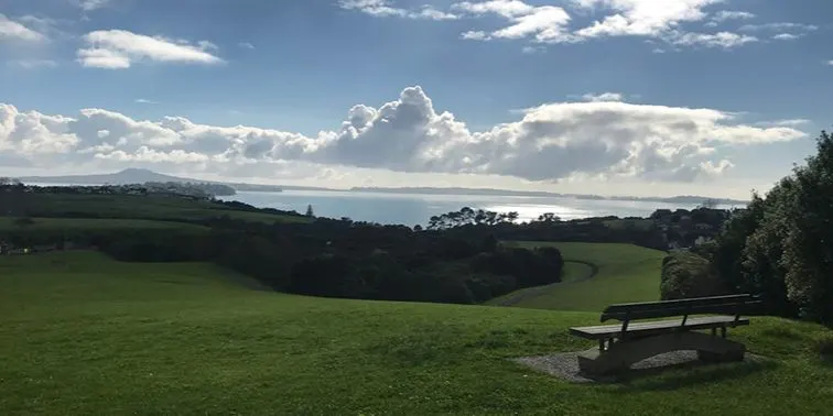 Connect to Nature: Discover Macleans Park, Howick