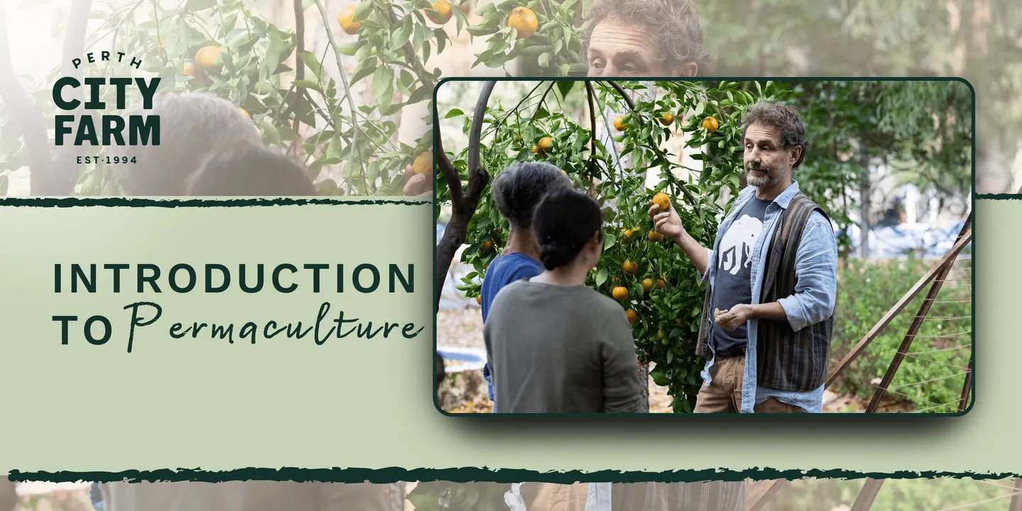 Introduction to Permaculture with Rod Nov 2026 (full day)