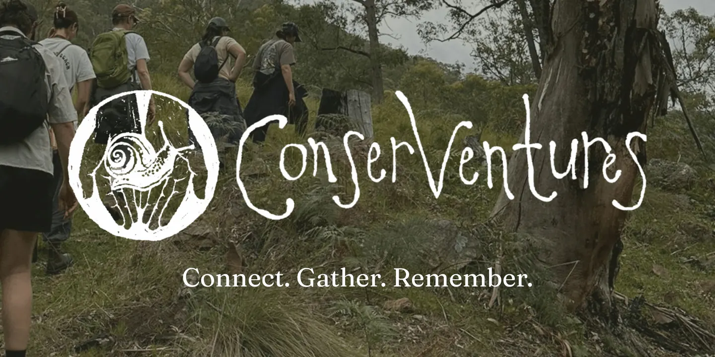 Guided Nature Walk: Find the Wild in the City | Randwick