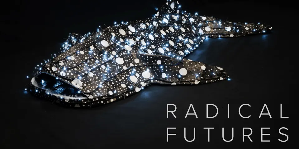 JCG Exhibition Opening: Regional Arts Triennial - Radical Futures