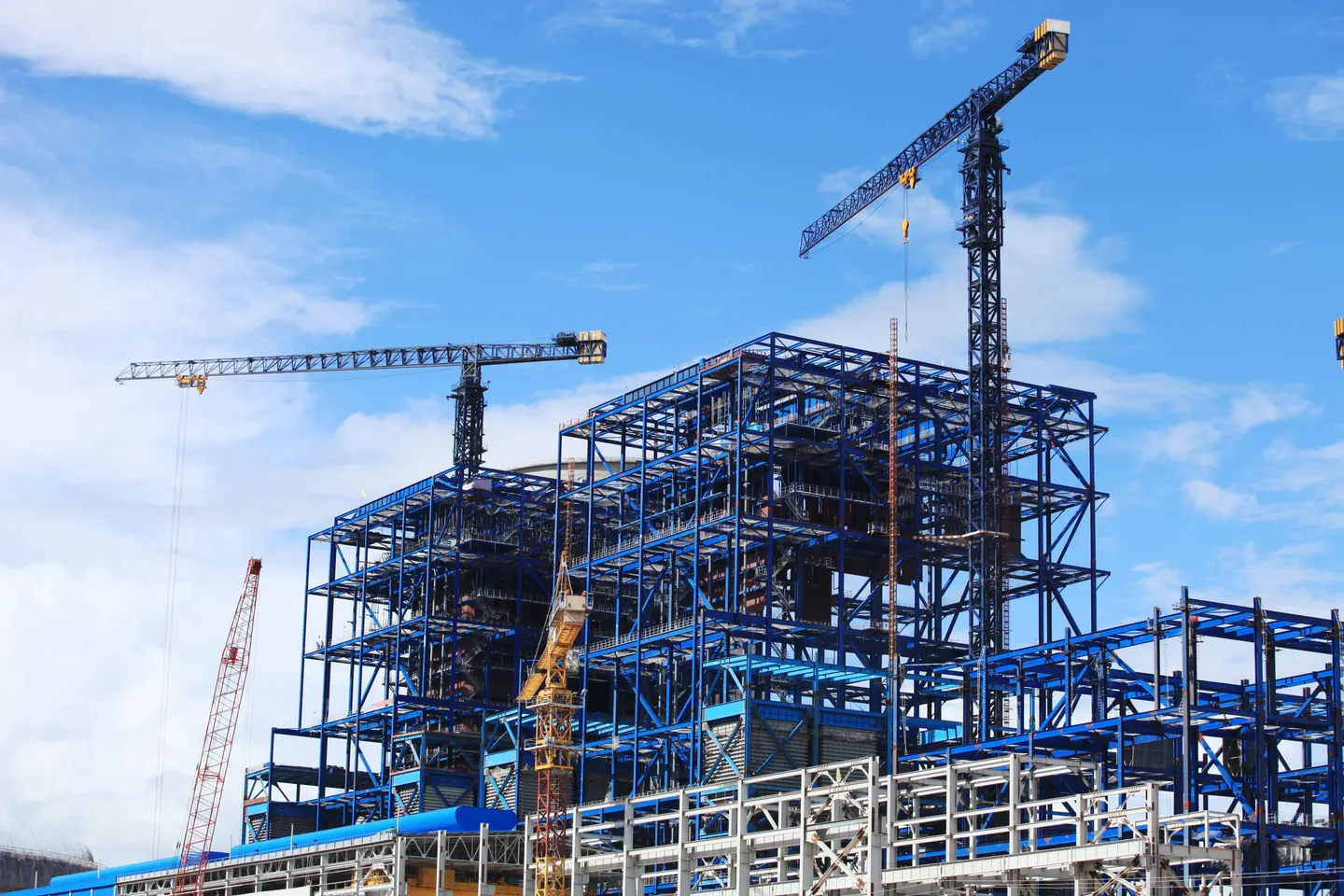 Real Estate Developer