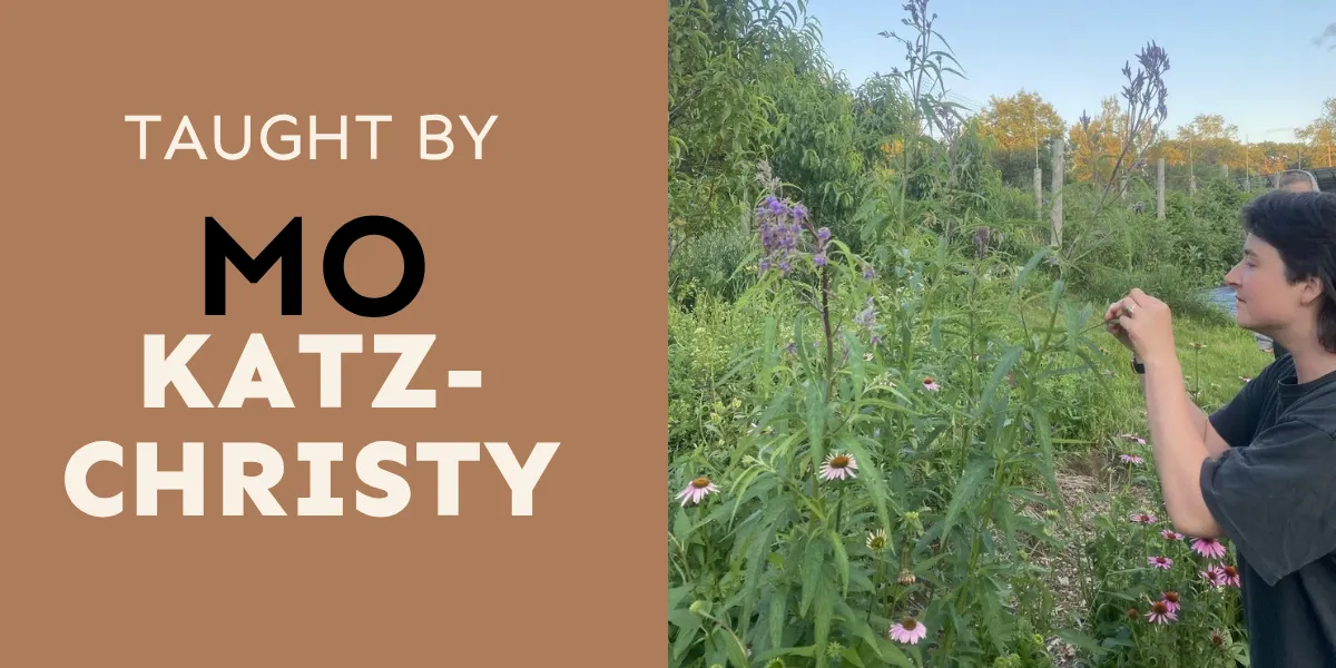 The Herbalism of a Local Lulav and Koishele