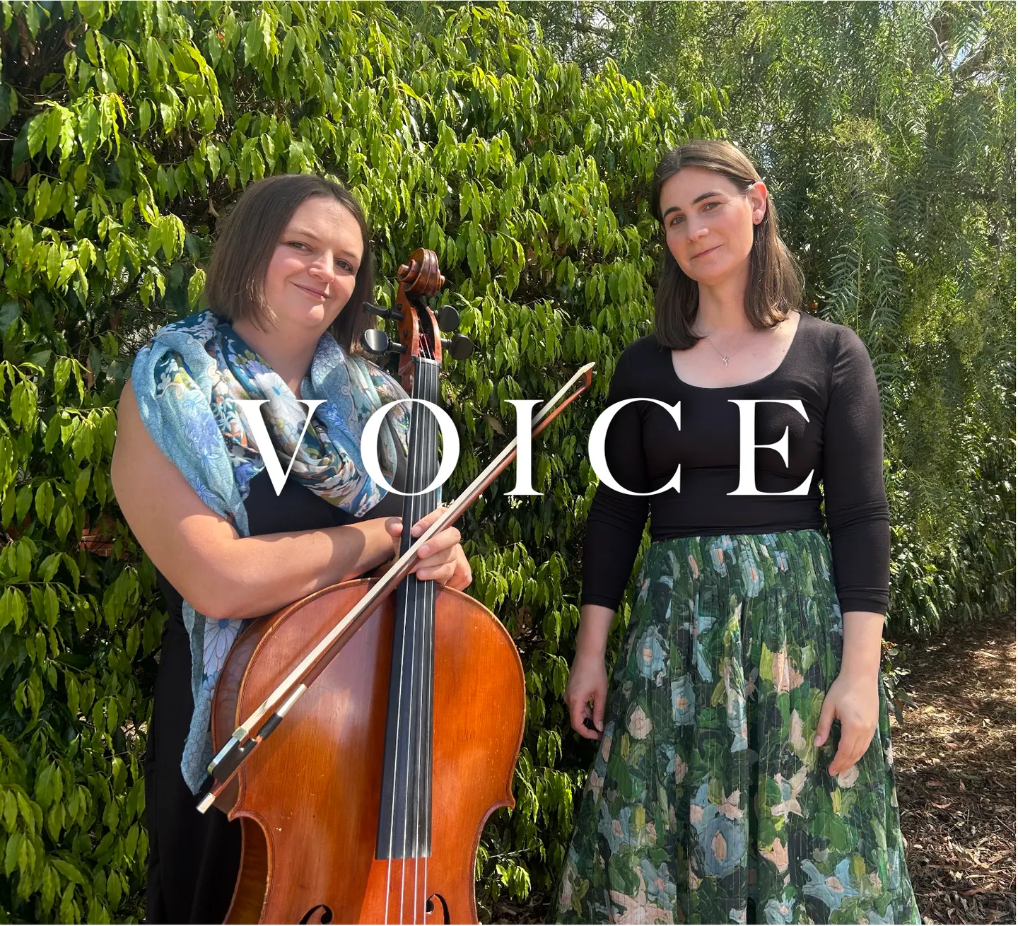 VOICE