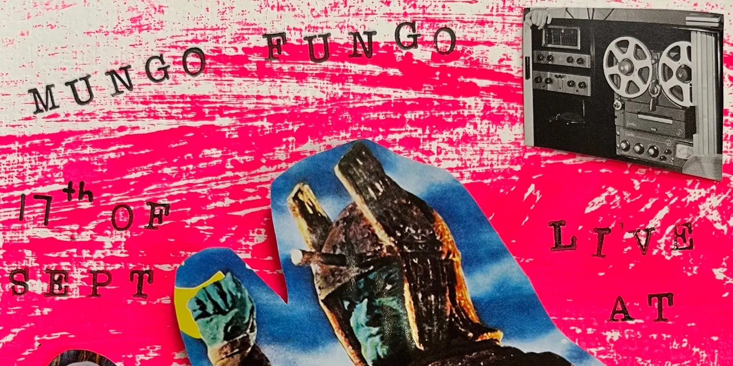Mungo Fungo