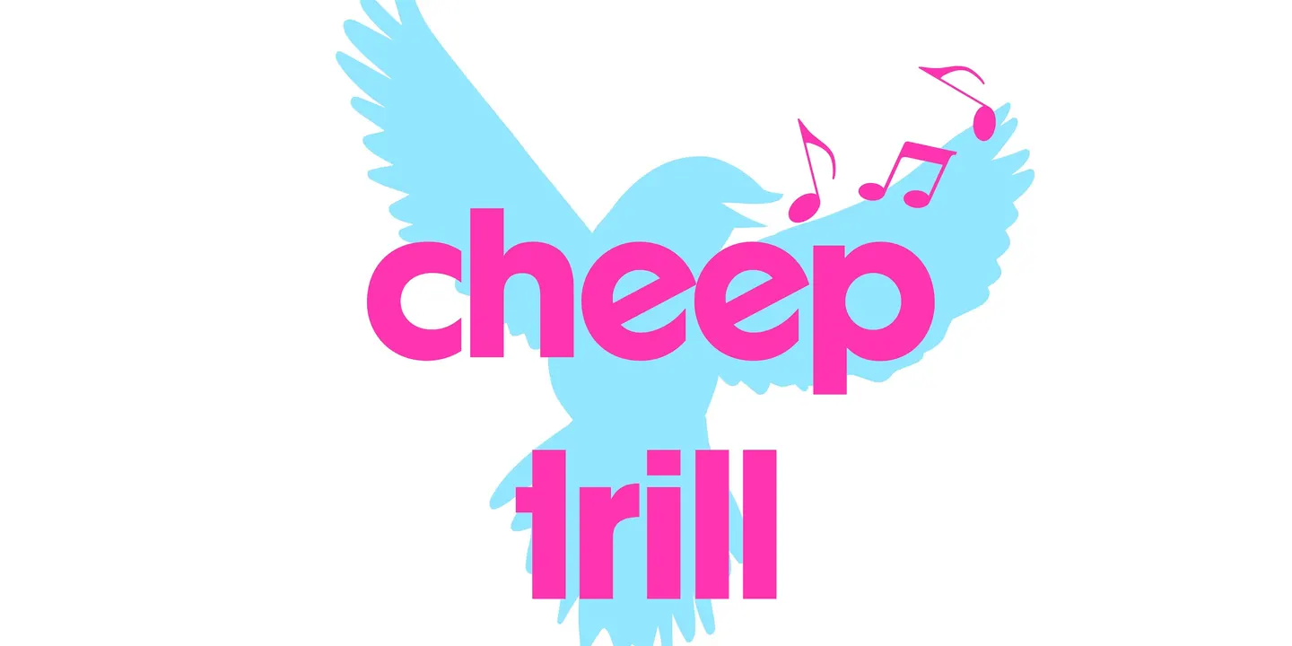 Cheep Trill Gold Coast Choir - End of Term Performance