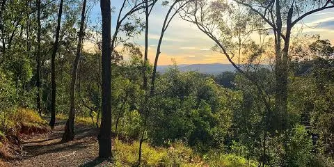 Hike Mount Gravatt Outlook via Toohey Forest
