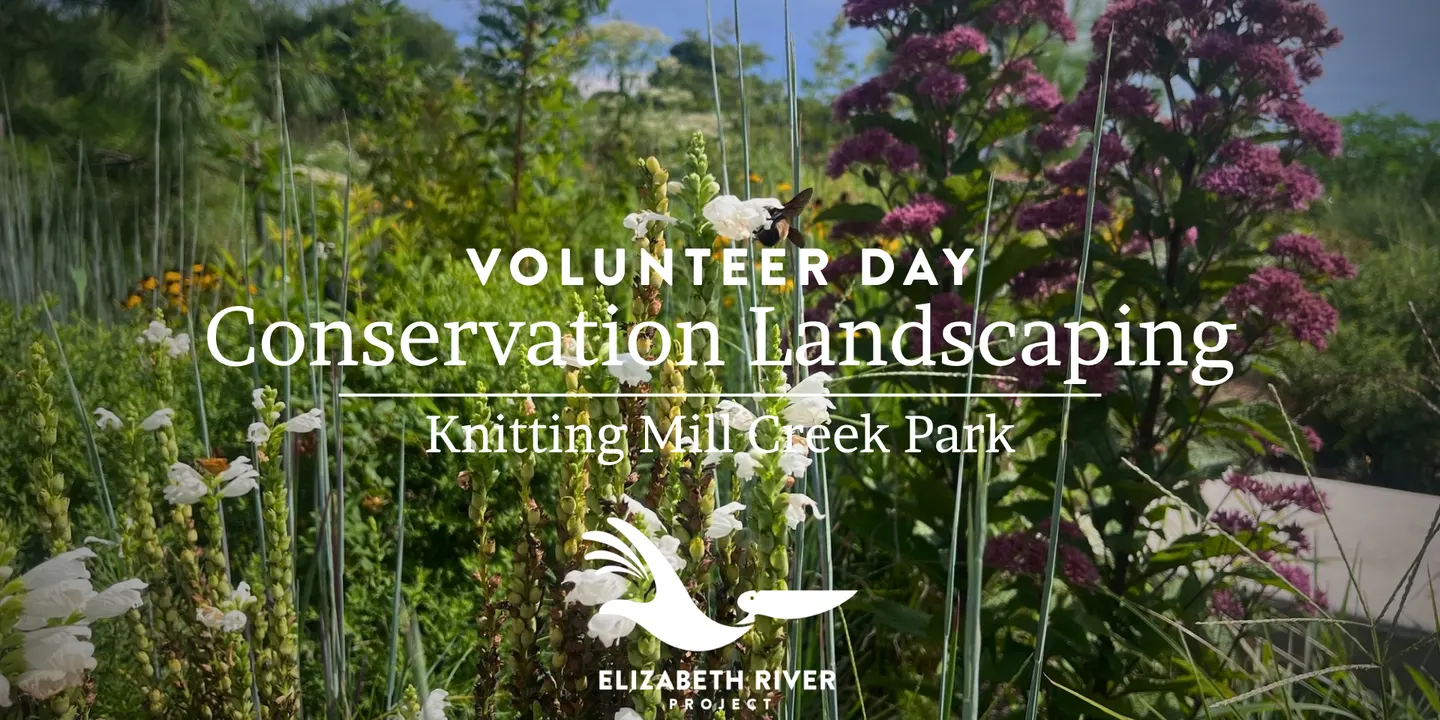 Volunteer Day: Knitting Mill Creek Park Conservation Landscaping
