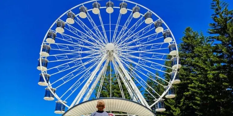 Story Wheel with Meg McKinlay