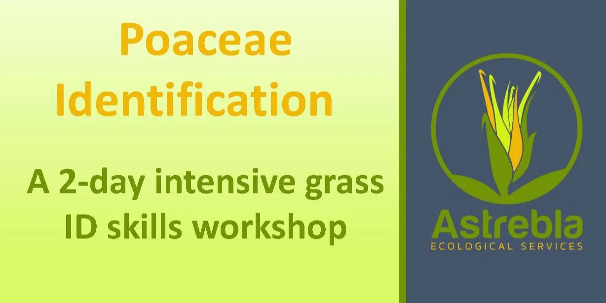 Grass ID Skills Workshop