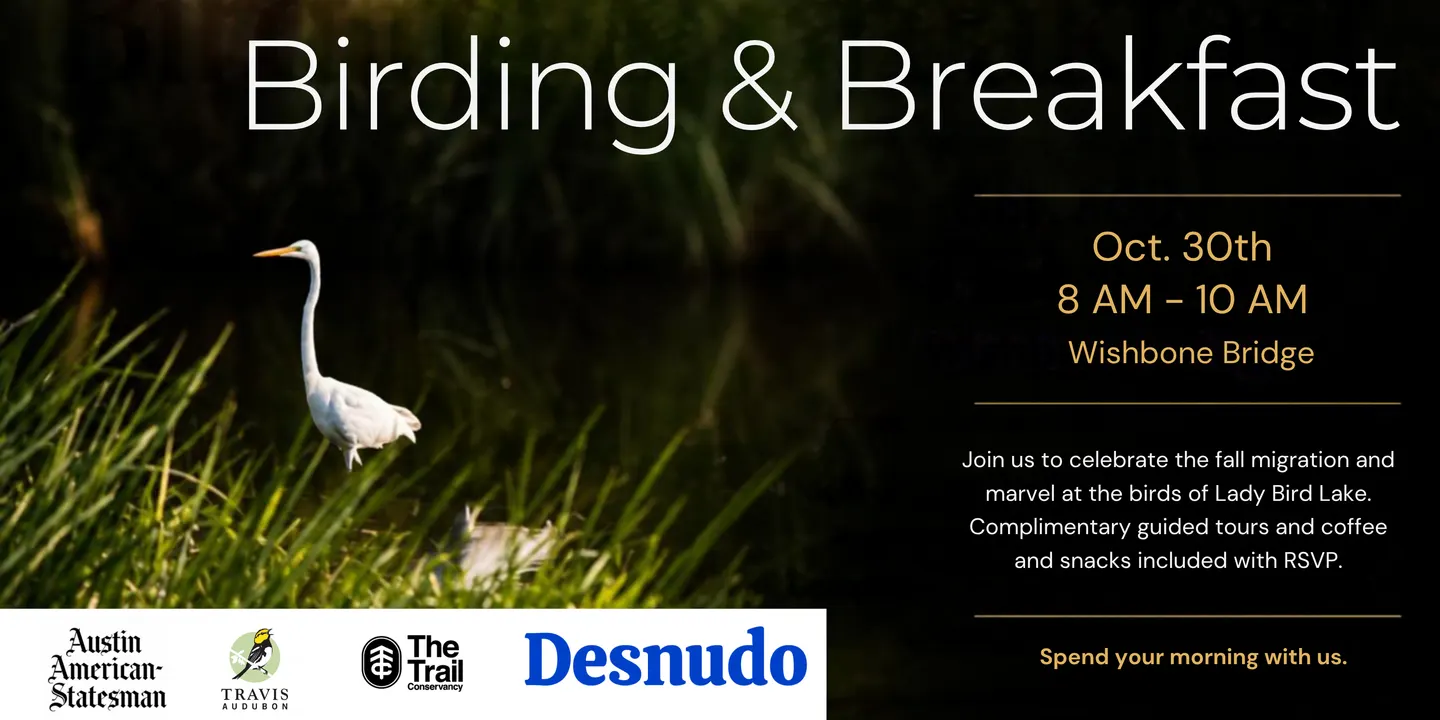Birding & Breakfast