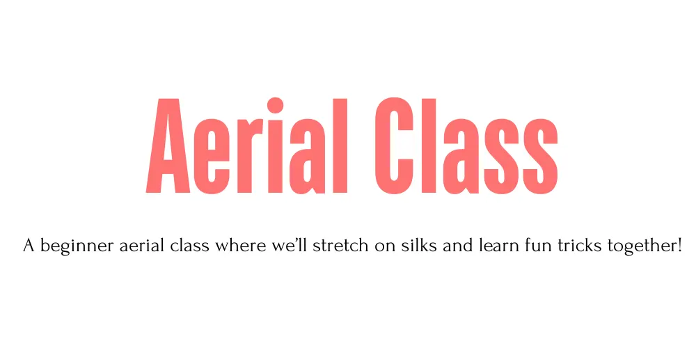 Beginner Aerial Class