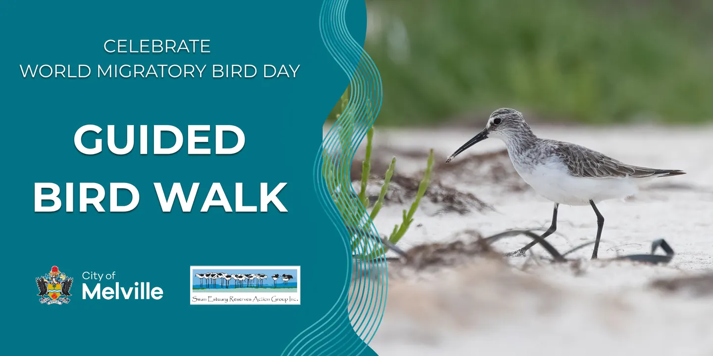 World Migratory Bird Day 2026